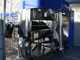 Melk robot