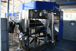 melkrobot warm water systeem