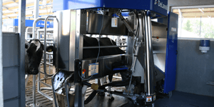 Melkrobot-Fleerakkers-1